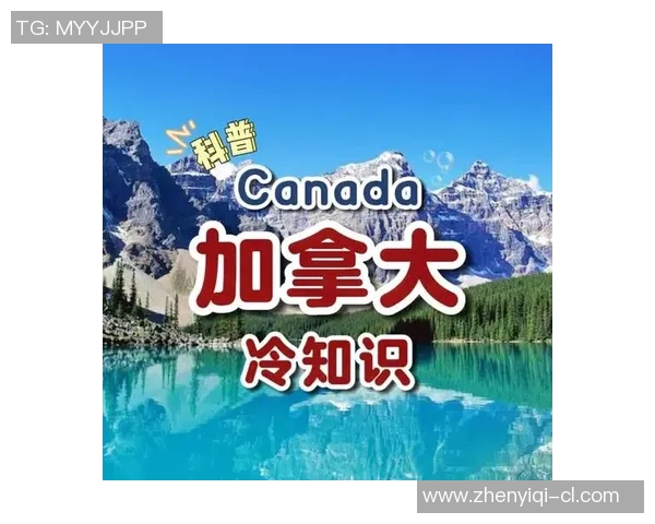 你不知道的总决赛:十大冷知识大揭秘 你不知道的总决赛:十大冷知识大揭秘